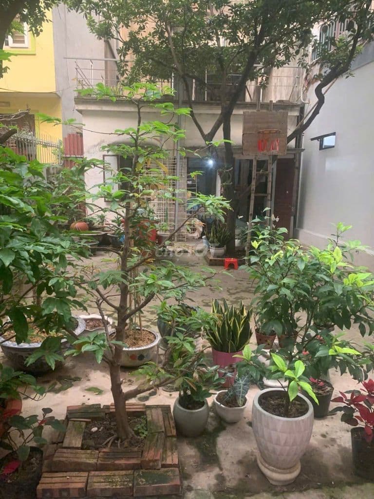 CHỈ 10,1 TỶ CÓ NGAY MẢNH ĐẤT 55M, VUÔNG ĐẸP TRẦN THÁI TÔNG CẦU GIÁY - Ảnh 2