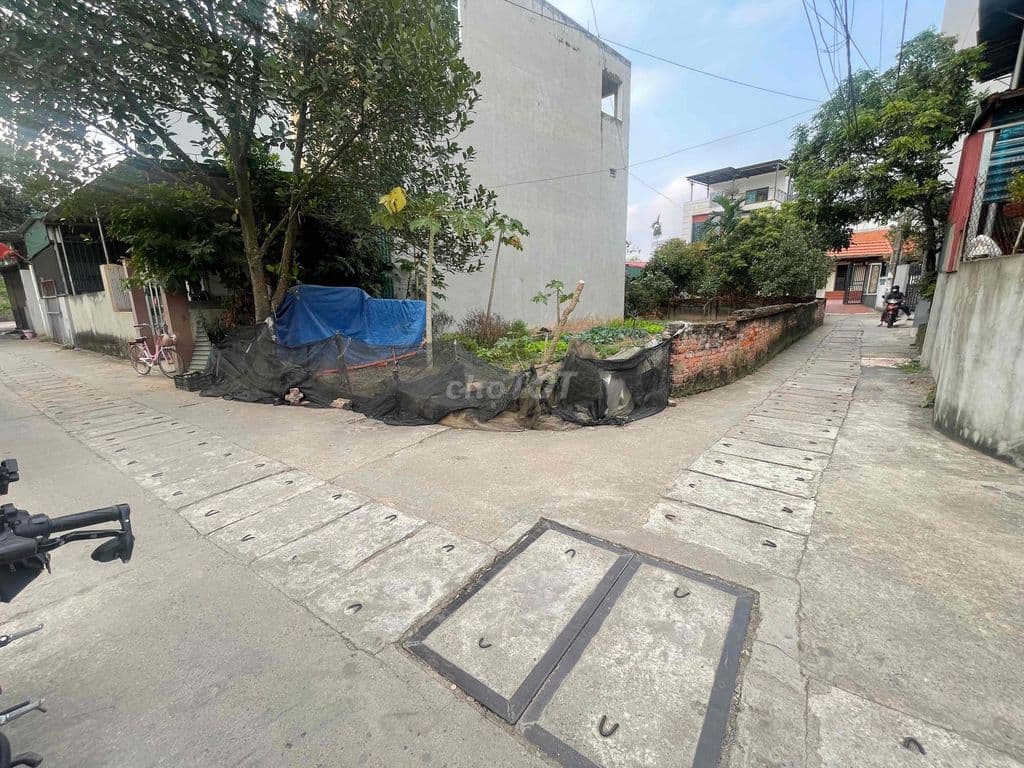 Đất thổ cư ĐỒNG MAI - trong đê - VF3 vào đất - Ngõ nông, thẳng - Ảnh 3