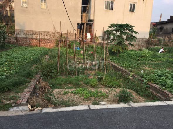 Bán Đất Vân Nội Đông Anh 64m2 Ô tô vào đất