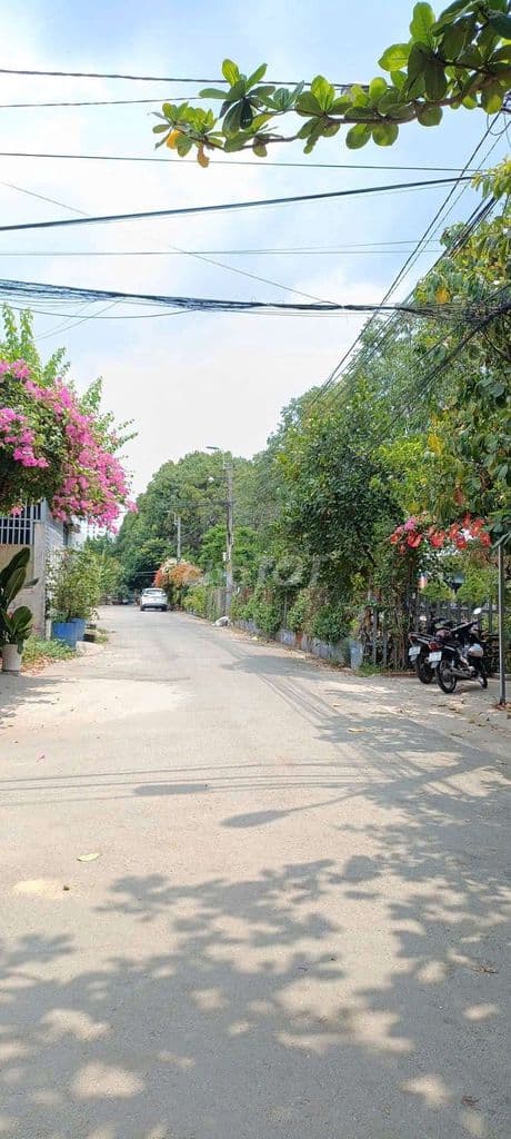 CHỦ CẦN BÁN LÔ ĐẤT FULL THỔ XÂY TỰ DO-KDC NGÔ CHÍ QUỐC-52M2 -CHỈ 3T55 - Ảnh 2
