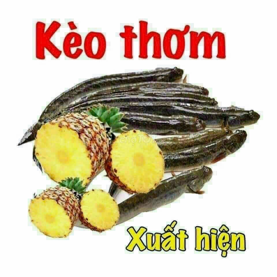 Nhà 1/ hẻm thăng xe hơi 4m đường Nguyễn Thị Kiểu P.HT-Q12.