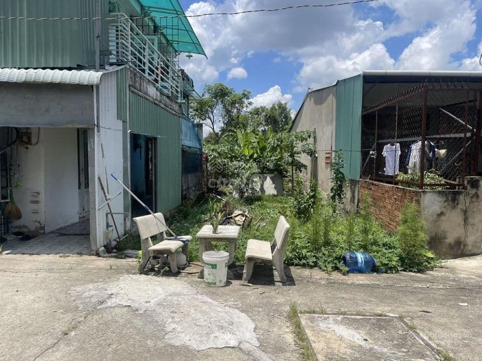 Bán đất đường Đoàn Nguyên Tuấn 123m2, xã Hưng Long, Bình Chánh - Ảnh 2