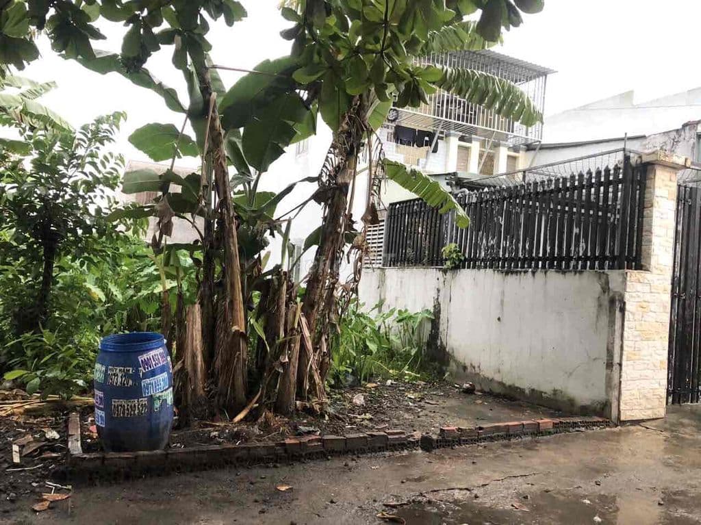 đất bán bình mỹ củ chi - Ảnh 3