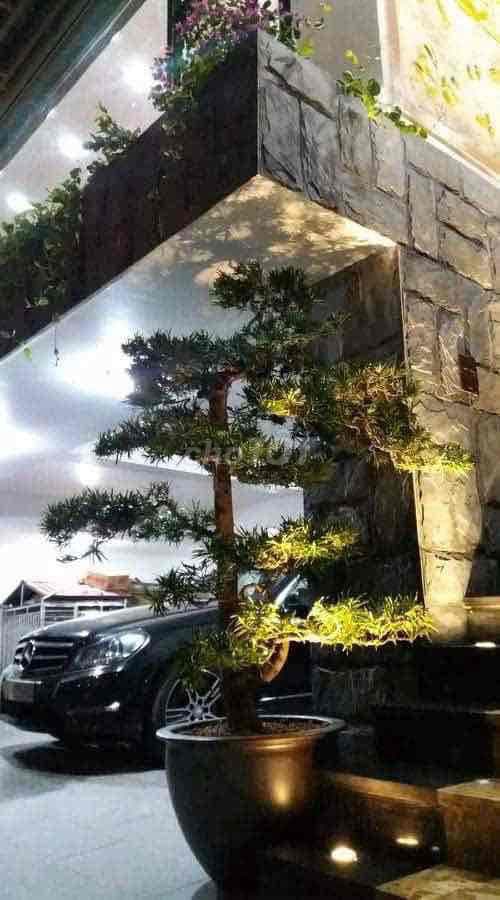 🔥 BÁN BIỆT THỰ ĐÔNG ANH – 221m² – MT 12.5m – HẦM Ô TÔ – GIÁ ĐẦU TƯ 22 - Ảnh 2