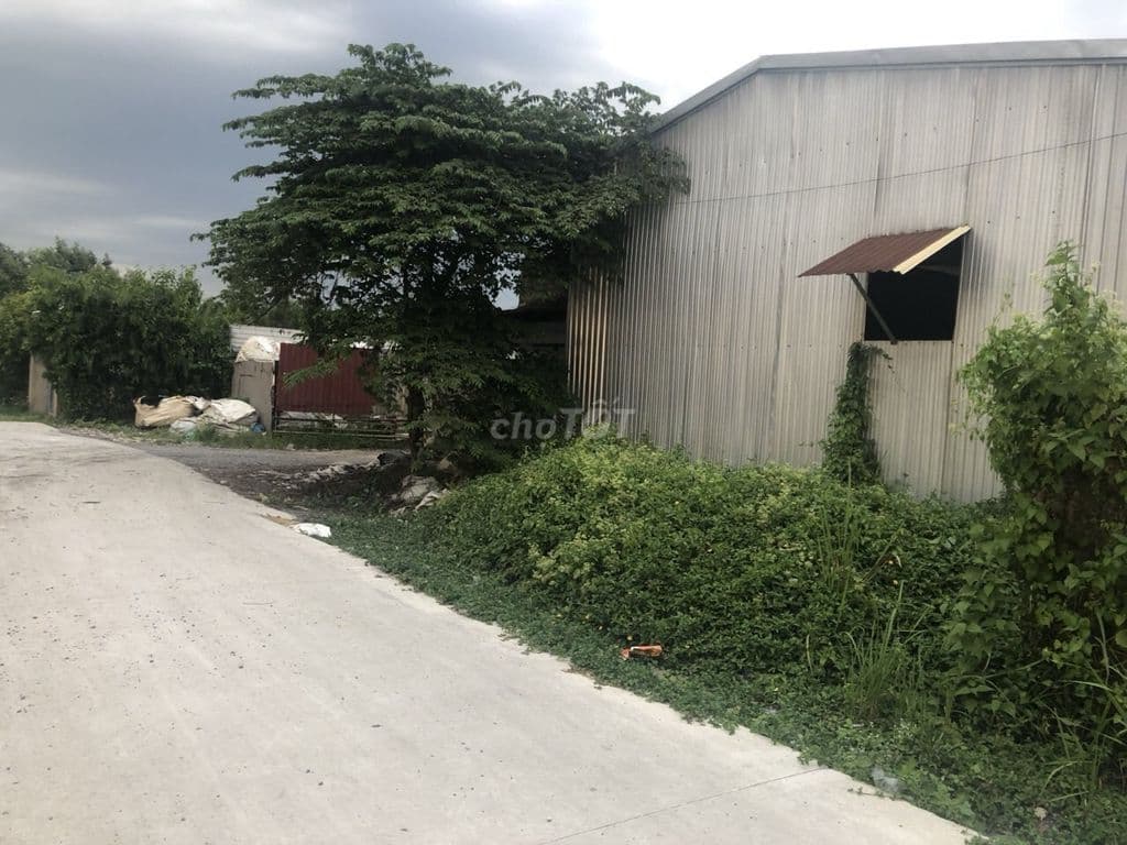 CẦN BÁN NHÀ XƯỞNG DT 20X51(CÓ 300M2 ĐẤT Ở) ĐANG CHO THUÊ 22TR/THÁNG - Ảnh 3