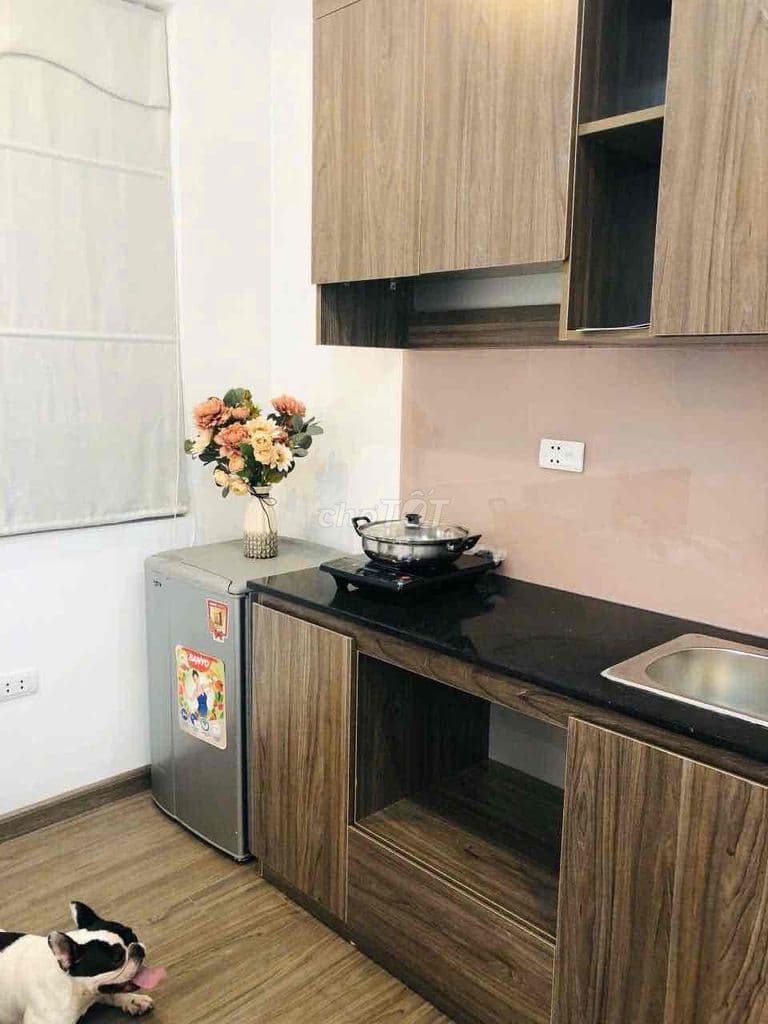SIÊU PHẨM DÒNG TIỀN CẦU GIẤY- 6M MẶT TIỀN DÒNG TIỀN 35/THÁNG - Ảnh 2