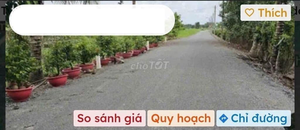 Bán đất 3238m2 Vườn Thơm Kênh 8 Xã Bình Lợi - Ảnh 3