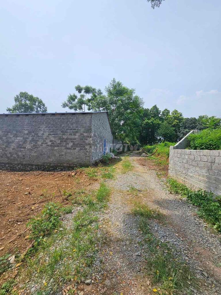 chính chủ bán đất nam phương tiến, chương mỹ, hà nội - Ảnh 3