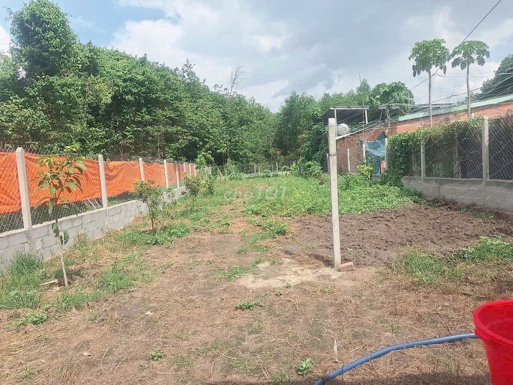 Bán nhà vườn nghỉ dưỡng, 584m2, xã Tân Thông Hội, SHR, 1 tỷ 395
