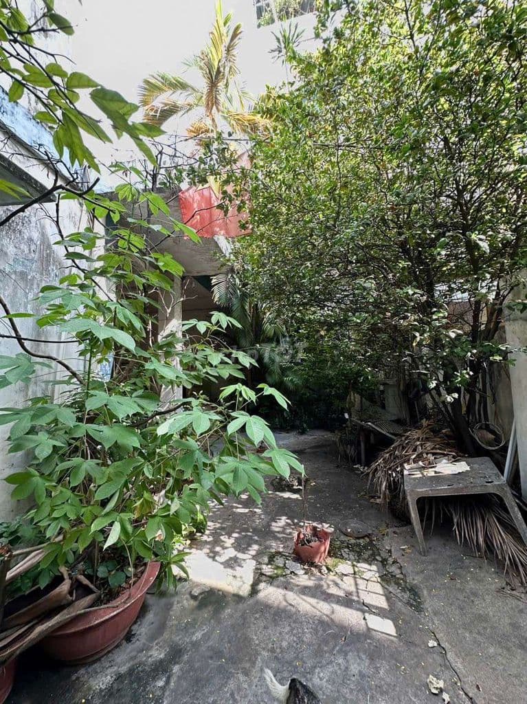 Định cưới_bán Rẻ TS nhà có 186m2 kế cầu Cây Gõ Q11/Q6 xd Villa/CHDV Ổn - Ảnh 3