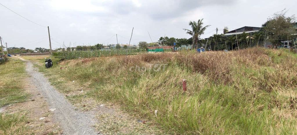 Đất trồng cây đ.Xuân Thới Sơn 26C-Hóc Môn.Dt 33x35~1161m2~14,5ty