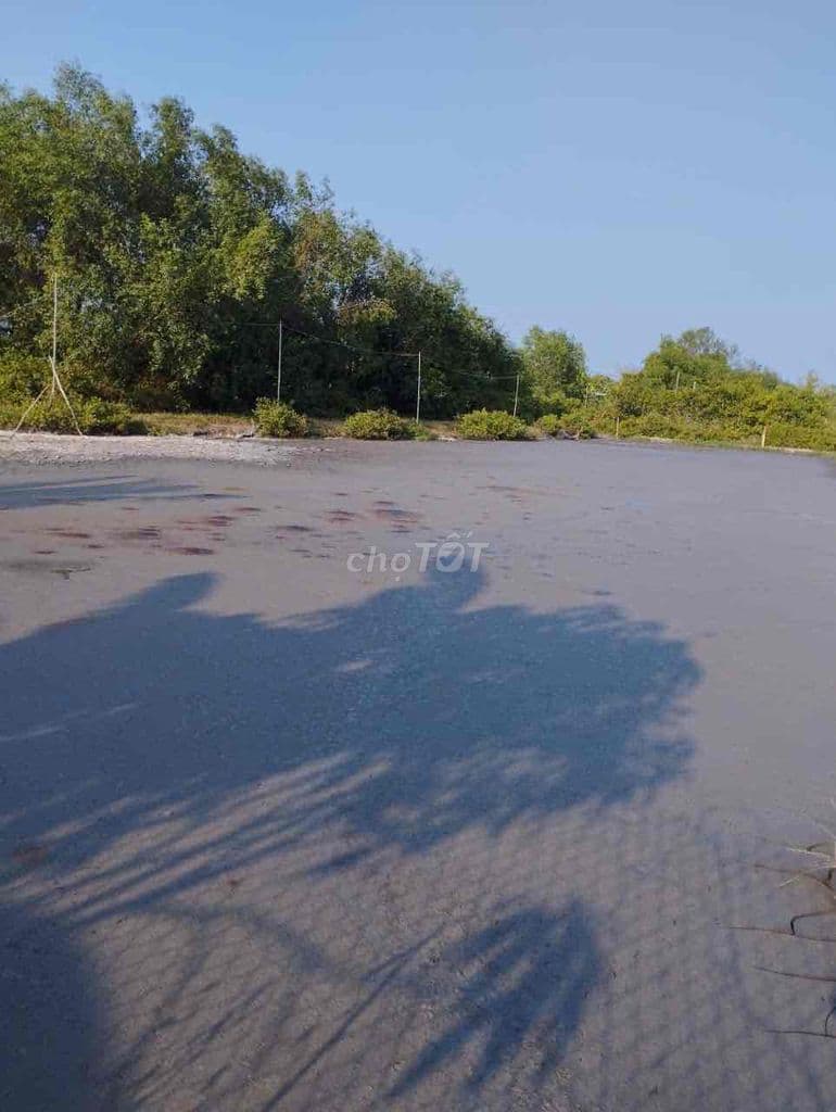 BỎ PHỐ VỀ CẦN GIỜ - SỞ HỮU NGAY 1000M² KHÔNG GIAN SỐNG XANH