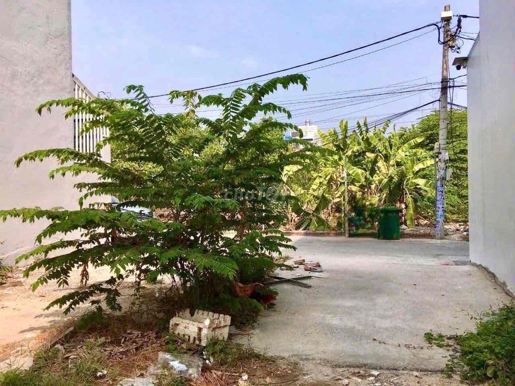 ĐẤT TÔ NGỌC VÂN Q12 - GẦN TRƯỜNG NGUYỄN VĂN THỆ - NHÍC 4 TỎI - Ảnh 3