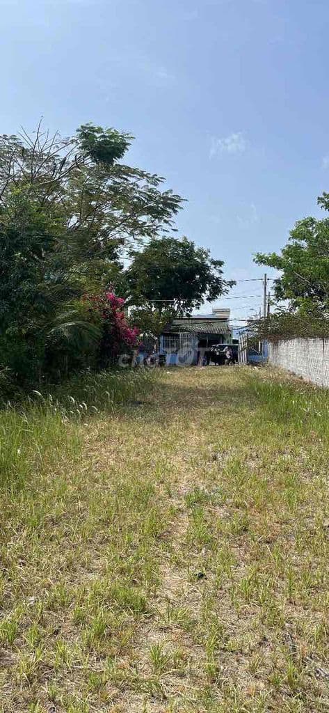 Bán Đất Lớn 30.304m2 đường Giồng Ao TT Cần Thạnh, Cần Giờ - Ảnh 2