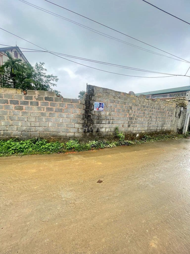 gia đình cắt bán 80m đất thổ cư cần bán gấp - Ảnh 3