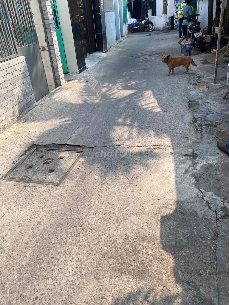 CẦN BÁN CĂN NHÀ BÙI MINH TRỰC