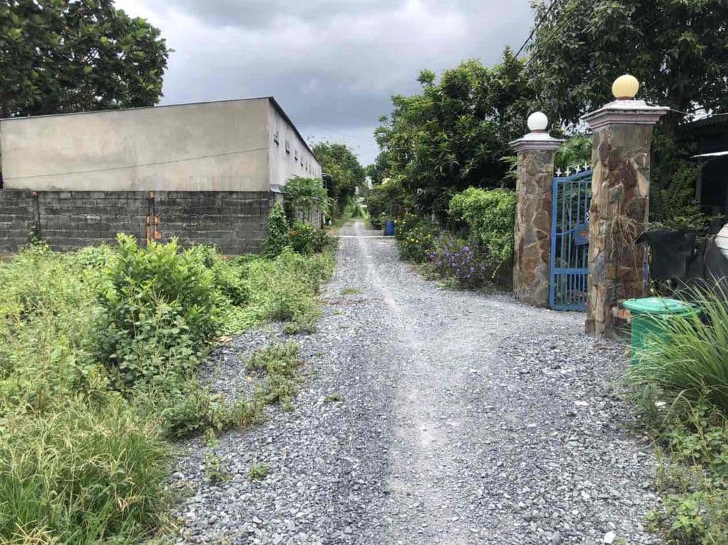 Đất chính chủ Tân Thạnh Đông cũ - Ảnh 2