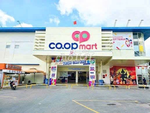 KẸT TIỀN BÁN GẤP ĐẤT RẺ HÓC MÔN GẦN DỰ ÁN VINHOME 200M2 ĐẦU TƯ - Ảnh 3