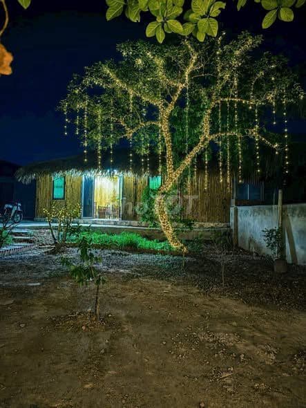 bán villa nghỉ dưỡng tại Sóc Sơn Hà Nội đẹp yên bình - Ảnh 3