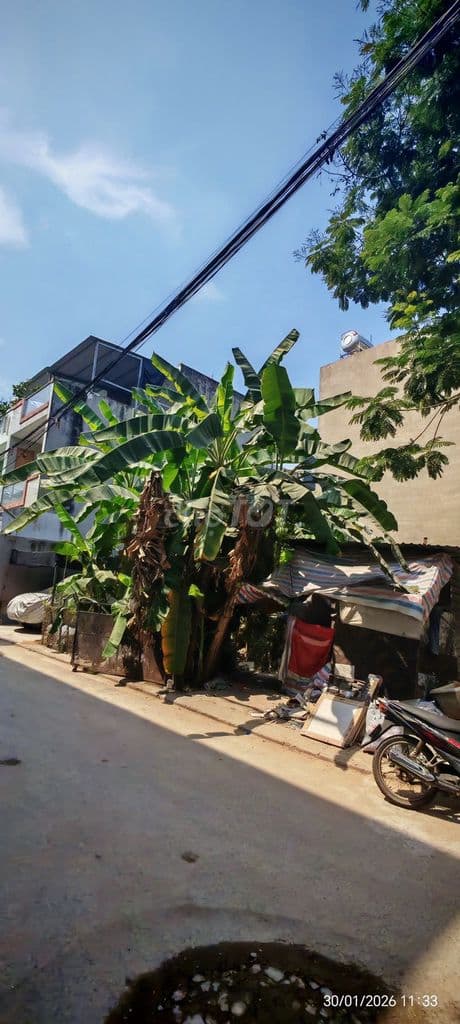 Bán gấp đất mặt tiền phường Trường Thạnh, đường số 8 Lò Lu(Q9) - Ảnh 2