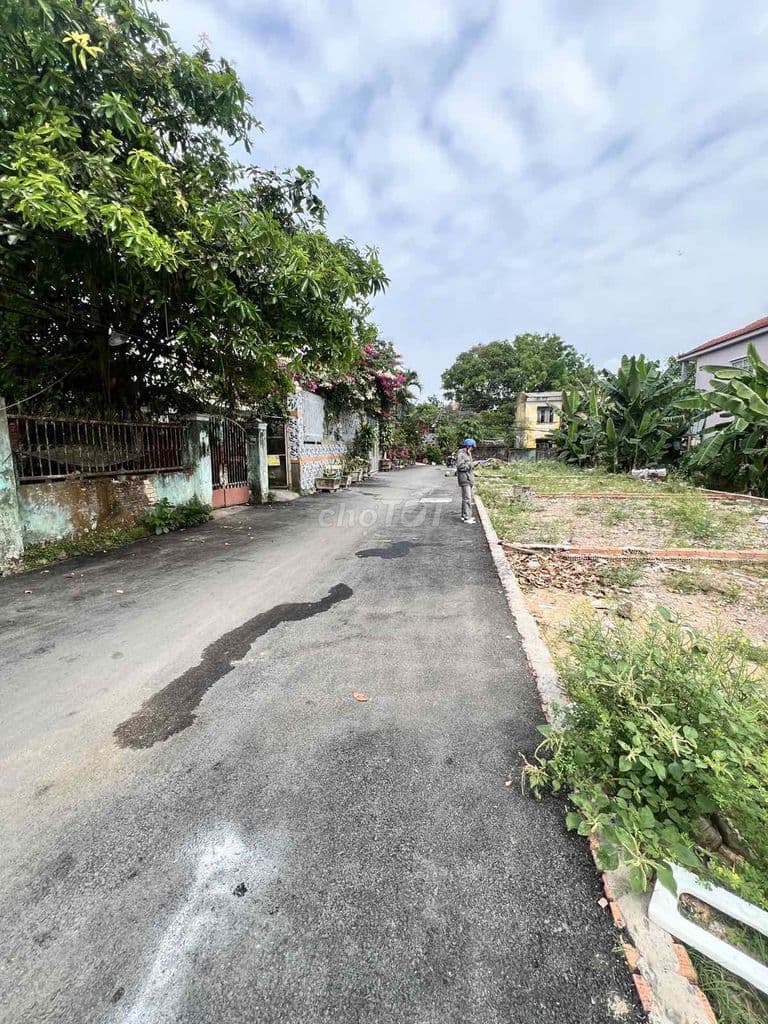 BÁN GẤP ĐẤT NỀN 115m2, HẺM XE HƠI NGAY VINHOME QUẬN 9 NGUYỄN XIỄN - Ảnh 3