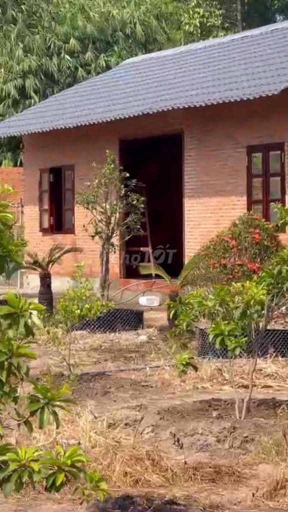 Bán Nhà Vườn 1600m2 quy hoach KDCSX. oto tới nơi giá 2T9 - Ảnh 3
