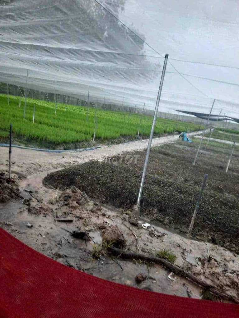 8.200m2 TL15 1,95tr/m Củ Chi An Nhơn Tây