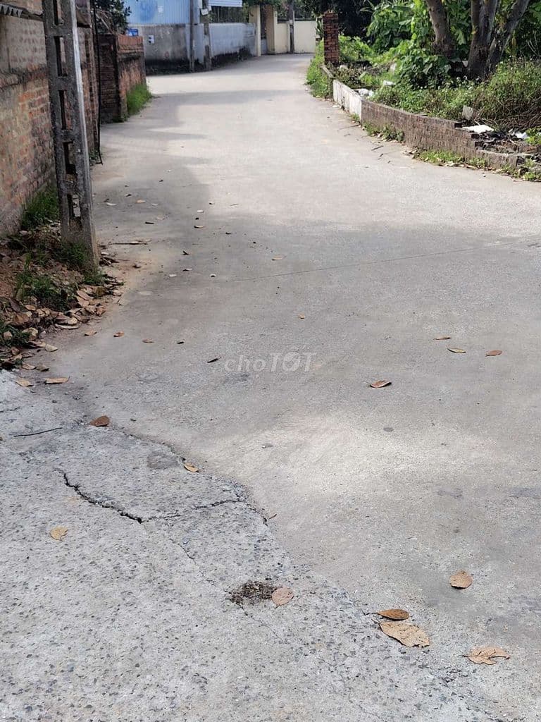 50 m² – GIÁ MỀM – SINH LỜI TO tại Yên Ninh – Nội Bài. - Ảnh 2