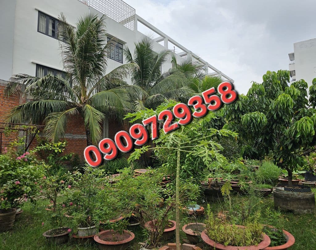 Mặt tiền Lê Tấn Bê - Đất đẹp - 188 tỷ - Ảnh 2