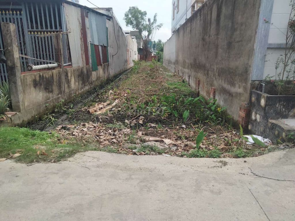 Bán đất thổ cư 406m2 gần sông Sài Gòn xã Bình Mỹ, giá rẻ - Ảnh 2