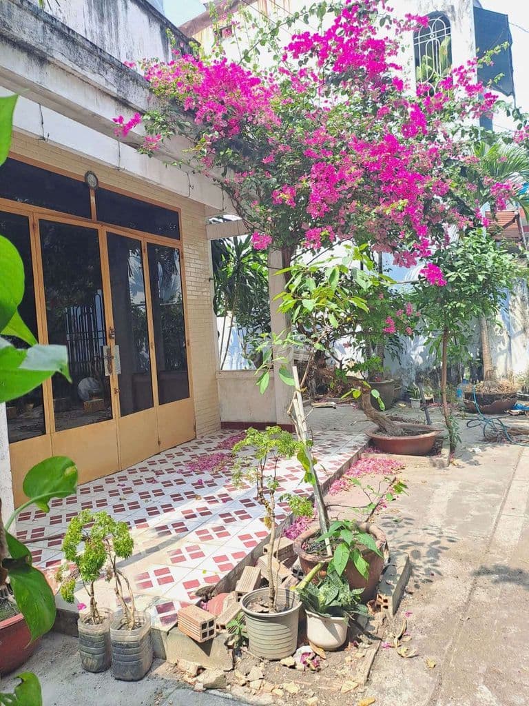 KHUÔN ĐẤT HIẾM - NGAY NHÀ THIẾU NHI GÒ VẤP - HXH - NGANG KHỦNG 10.2M - Ảnh 3