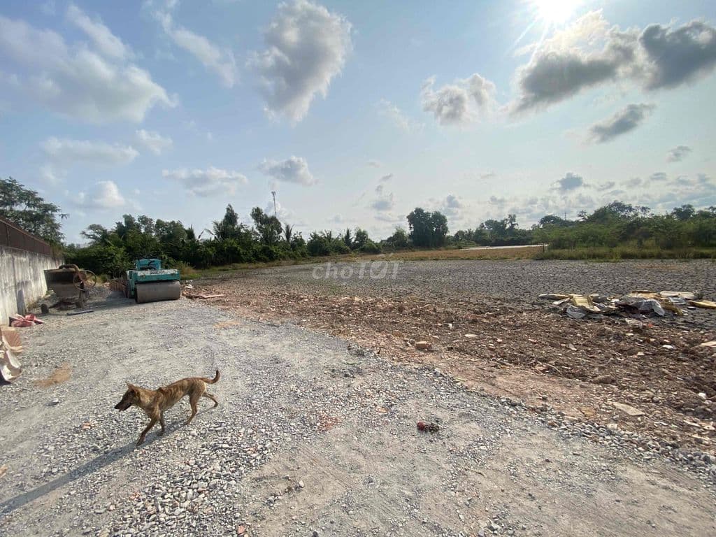 Bán rẻ đất thổ cư 80m2 giá 1.8ti đường xe hơi xã Bình Chánh - Ảnh 2