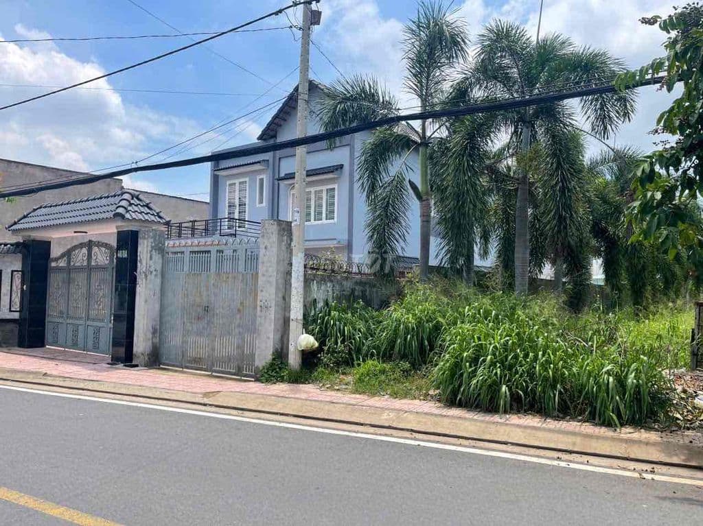 Bán Gấp Đất Full Thổ Cư 450m2, Mặt Tiền Đường 12m Nguyễn Thị Sáu - Ảnh 3