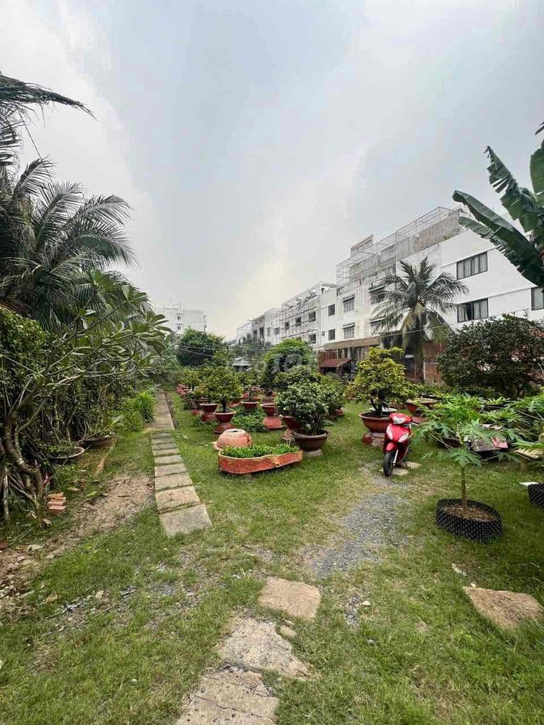Bán đất mặt tiền 221 Lê Tấn Bê 2000m2 - Ảnh 2