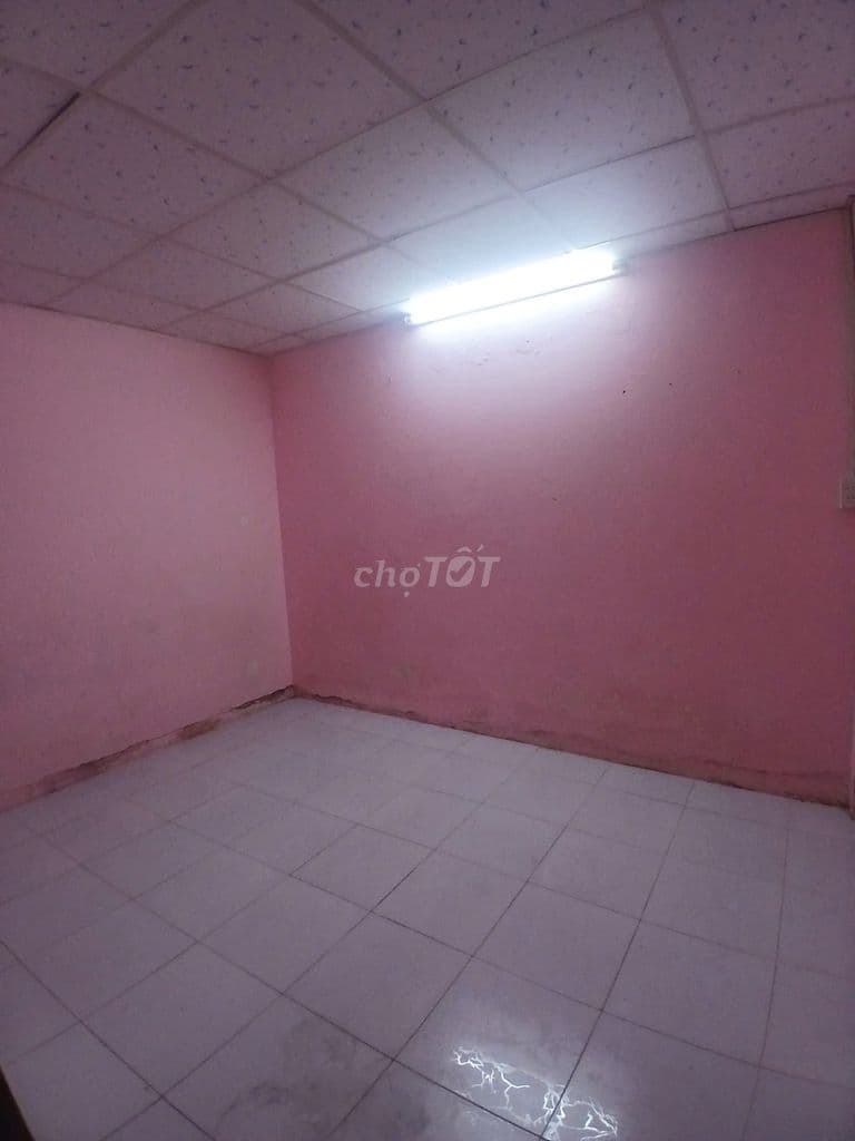 HẺM XE HƠI ĐỖ CỬA - BÙI THẾ MỸ TÂN BÌNH - Ảnh 3