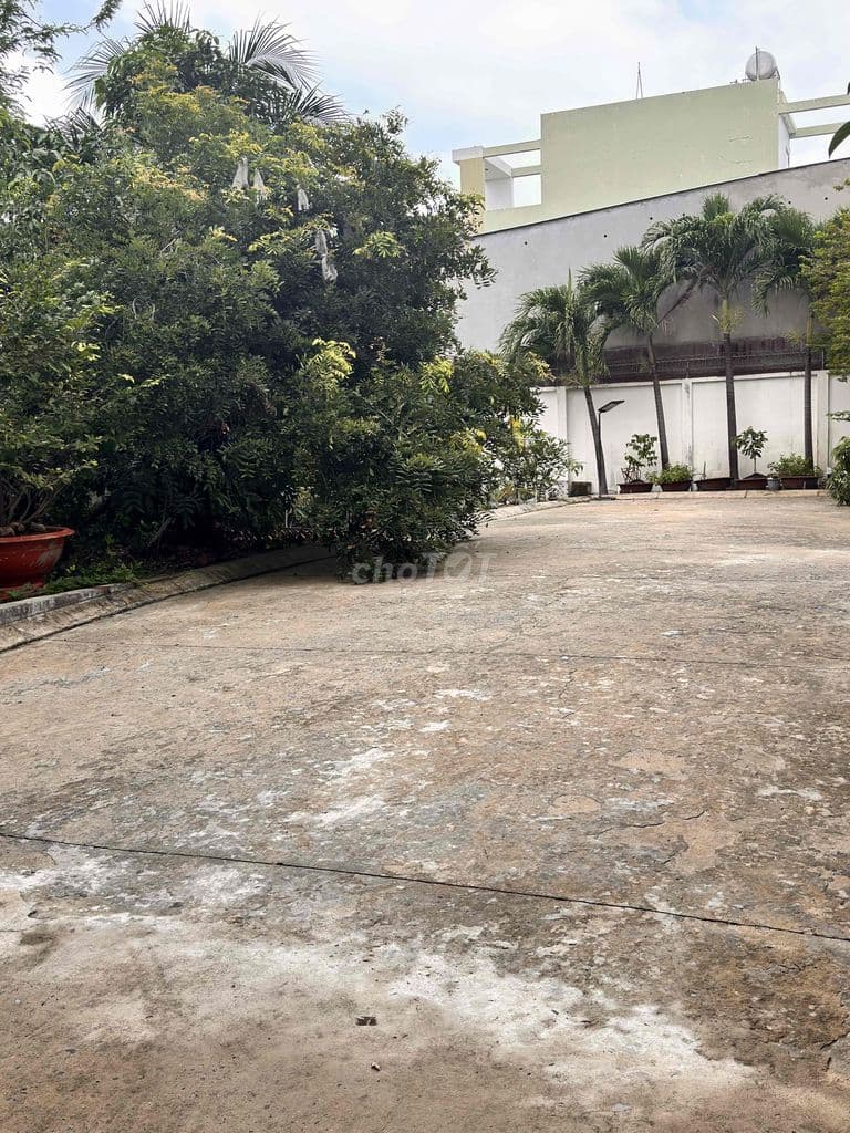 BÁN BIỆT THỰ CỔ ĐIỂN SÂN VƯỜN QUẬN 12 - Ảnh 3