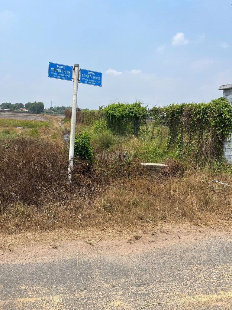 TÌM ĐÂU RA 500m2 ĐẤT VƯỜN có 50THỔ CƯ Ô TÔ -GIÁ ĐẸP CHỈ NHỈNH 1 TỶ 5 - Ảnh 2