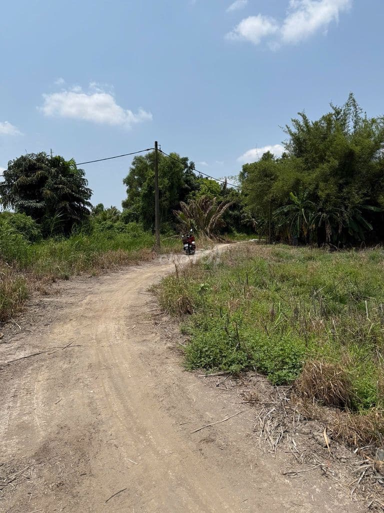 BÁN ĐẤT 1450m² GẦN KCN LÊ MINH XUÂN – GIÁ TỐT - Ảnh 2