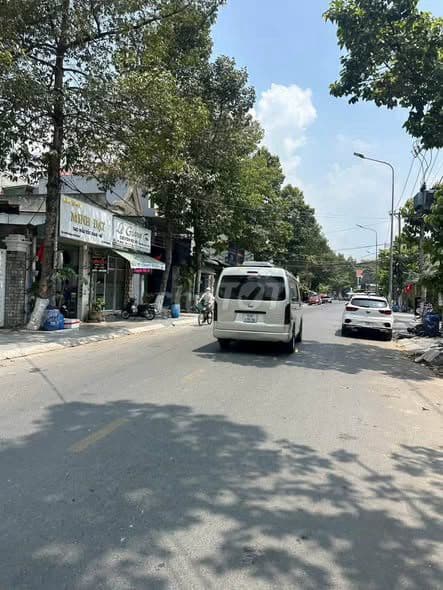 bán đất mặt tiền Võ Thị Sáu Dĩ An quỹ đất lớn hiếm có - Ảnh 2