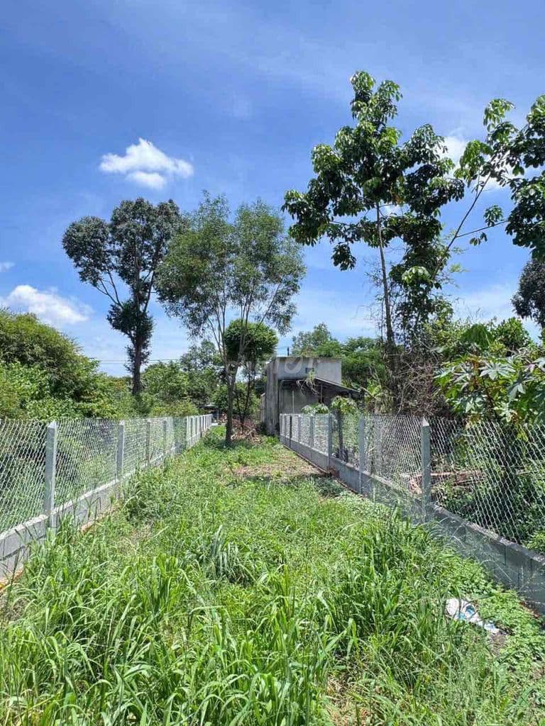 Đất Mặt Tiền Đường Lý Thị Chừng, Huyện Củ chi, Tp.hcm - Ảnh 3