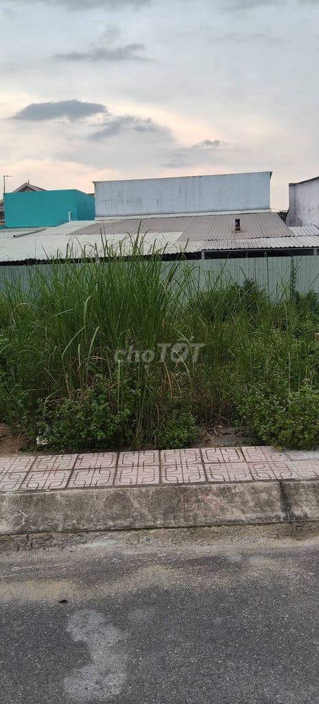 ĐẤT TRUNG TÂM BÌNH CHÁNH, ĐƯỜNG NGUYỄN HỮU TRÍ - 5.5x11M- ĐỒNG 2.9 TỶ - Ảnh 3