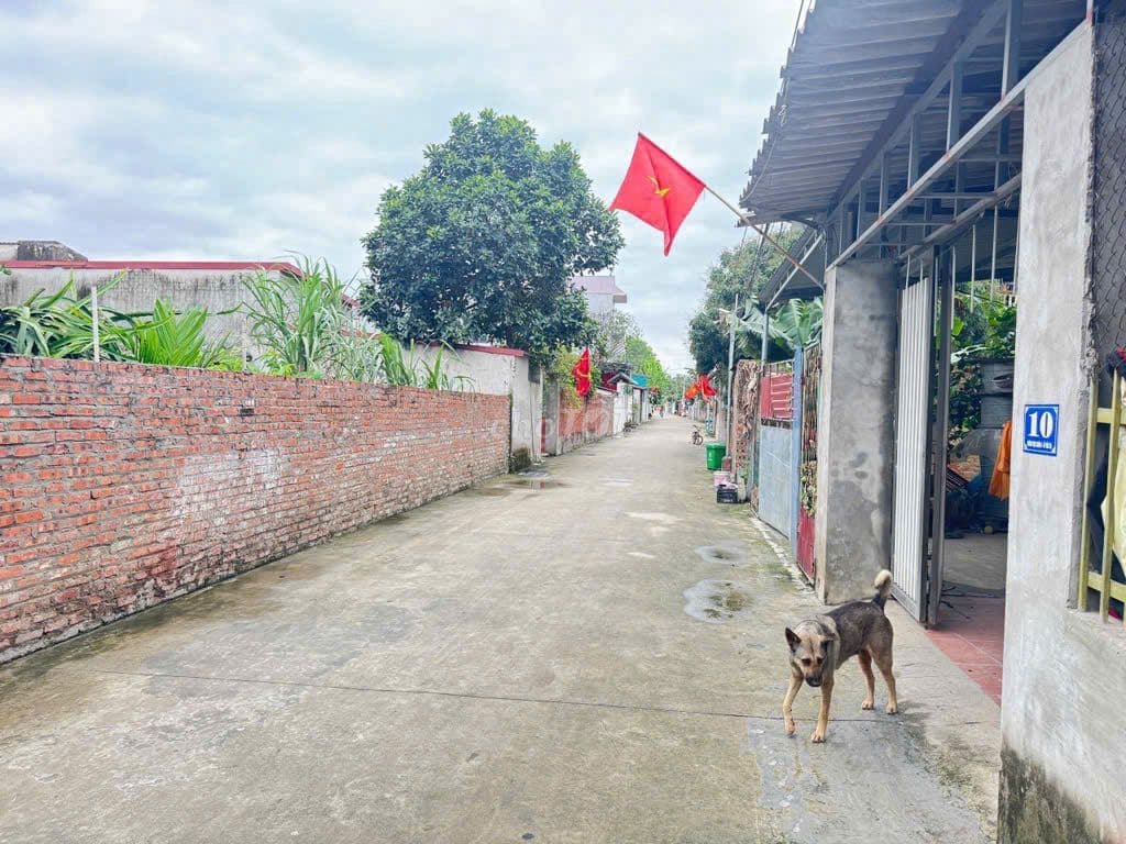 ✔️Bán 91m2 Đất Bắc Hạ, Quang Tiến – Ô Tô đỗ cửa, Gần Hồ Thoáng Mát - Ảnh 3