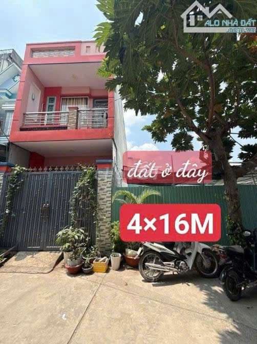 HIẾM! ĐẤT ĐẸP 64M² – GẦN TRƯỜNG HOÀNG VĂN THỤ – BÌNH TÂN - Ảnh 3