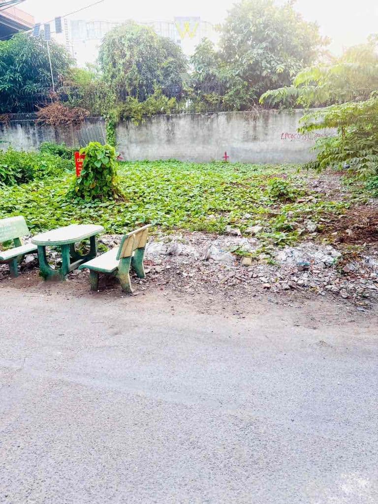 🌺🌺Cần bán 2 nền đất liền nhau đừơng 55/ Võ Văn kiệt - phường An lạc - - Ảnh 3