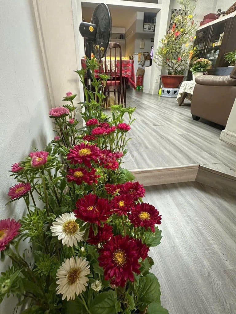 Bán gấp mặt tiền Chu Văn An Bình Thạnh 4x18m 3 Tầng có vỉa hè 15.3 tỷ - Ảnh 3