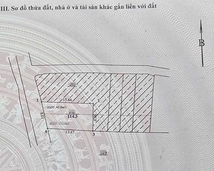 BÁN ĐẤT TẶNG NHÀ MẶT PHỐ HOÀNG LIÊN-Ô TÔ TRÁNH -KINH DOANH ĐỈNH. - Ảnh 3