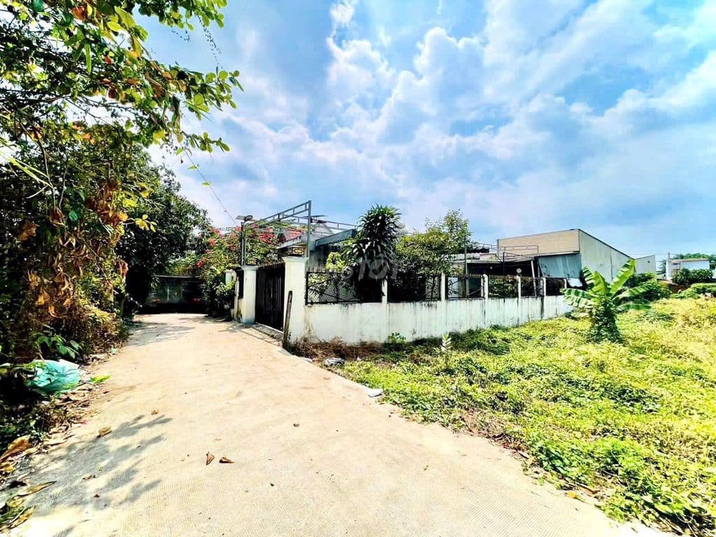 Cần thanh lý 400m2 đất Chợ Quảng Việt, TÂN AN HỘI – CỦ CHI - Ảnh 2