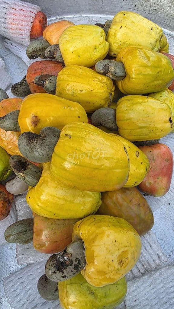 Bán nhà hẻm oto Nguyễn Quý Yêm nở hậu - Ảnh 3