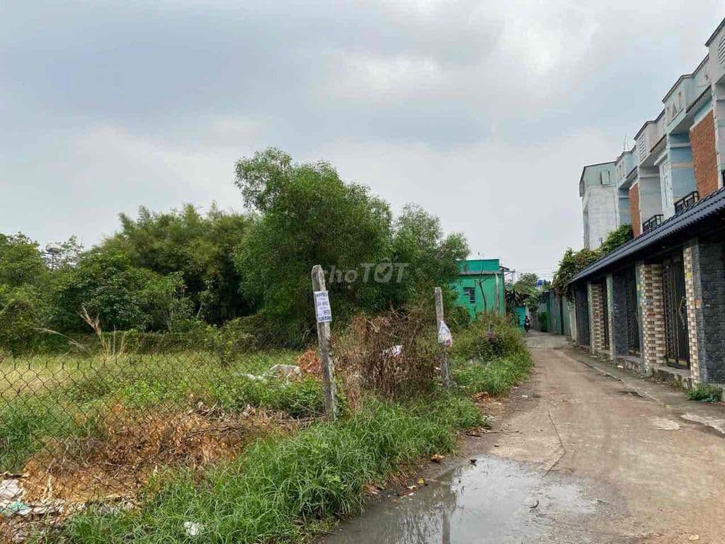 Hóc Môn cần bán hơn 1200m2 full thổ cư , gần Vinhomes - Ảnh 2