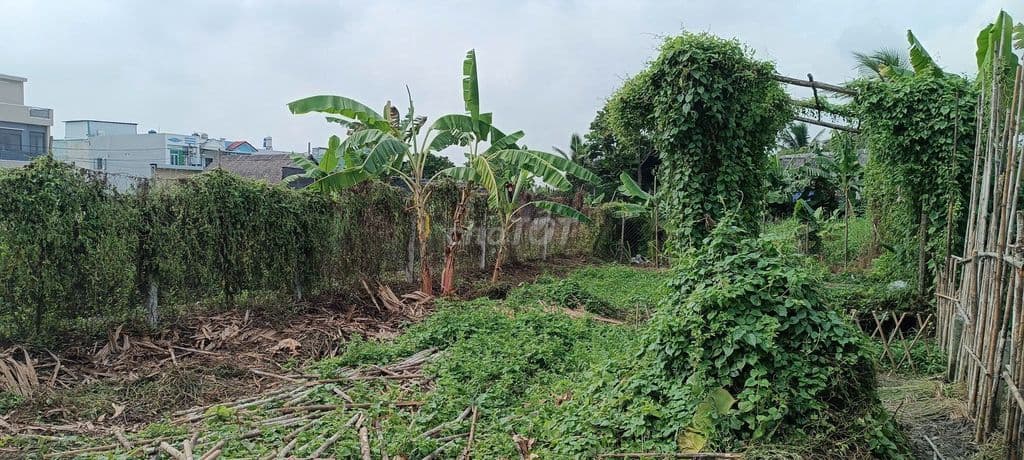 Đất đường xe hơi thông, gần trường Tiểu Học Bình Mỹ, 8,5x25m.